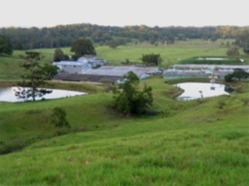 60 YAGERS LANE, Byron Bay NSW 2481