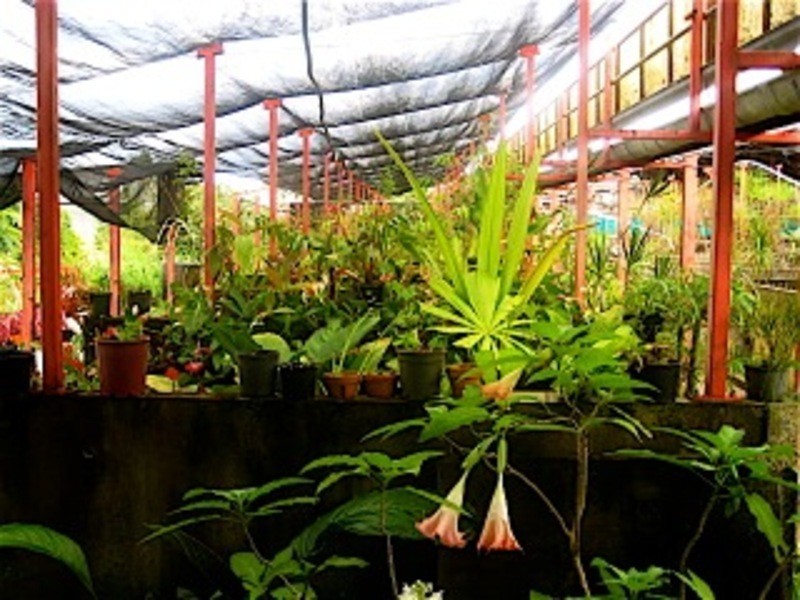 60 YAGERS LANE, Byron Bay NSW 2481