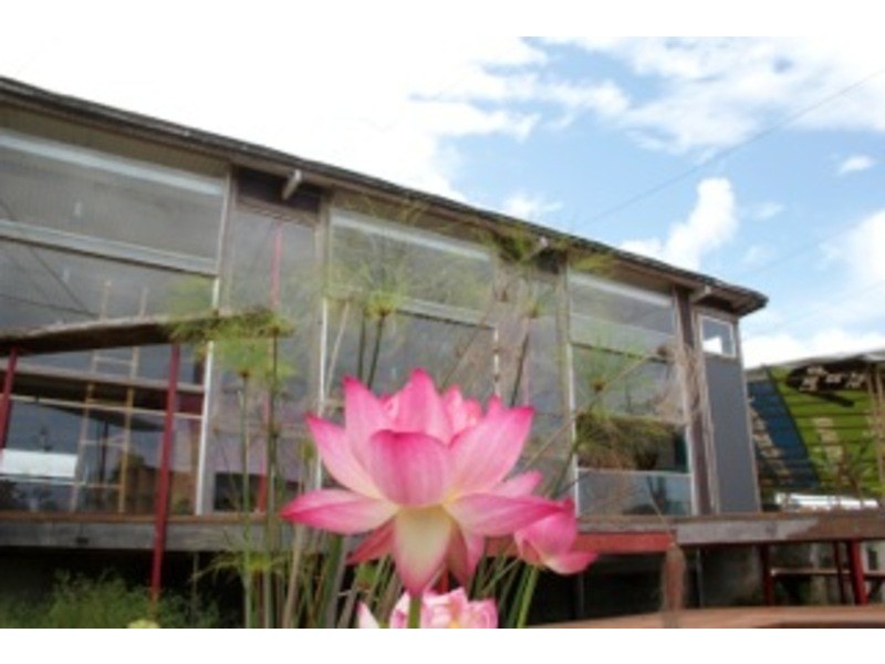 60 YAGERS LANE, Byron Bay NSW 2481