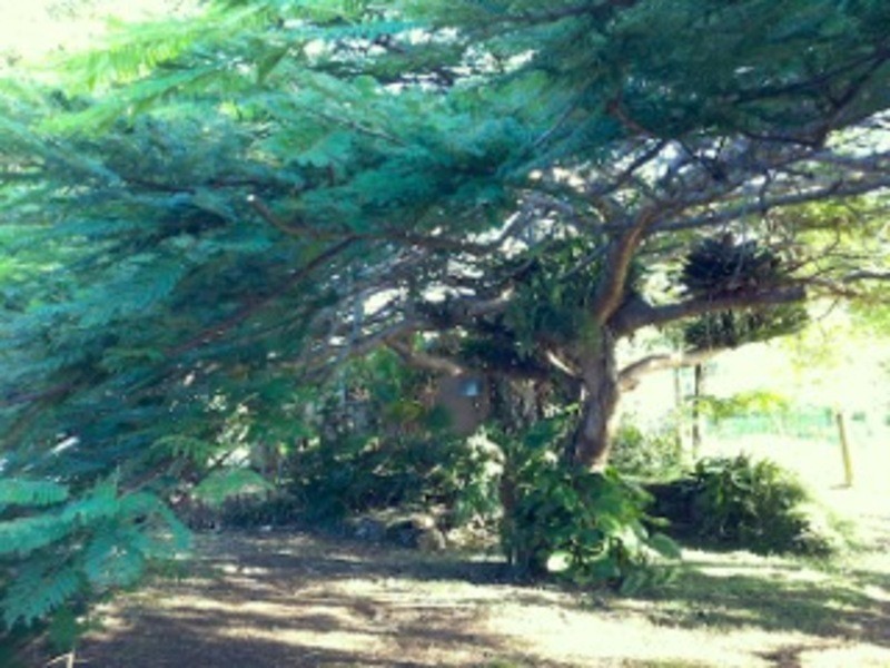 60 YAGERS LANE, Byron Bay NSW 2481