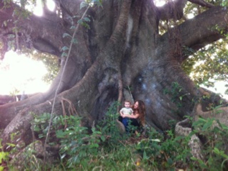 60 YAGERS LANE, Byron Bay NSW 2481