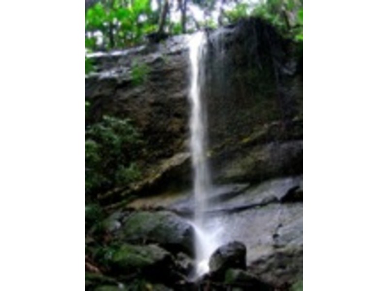 60 YAGERS LANE, Byron Bay NSW 2481