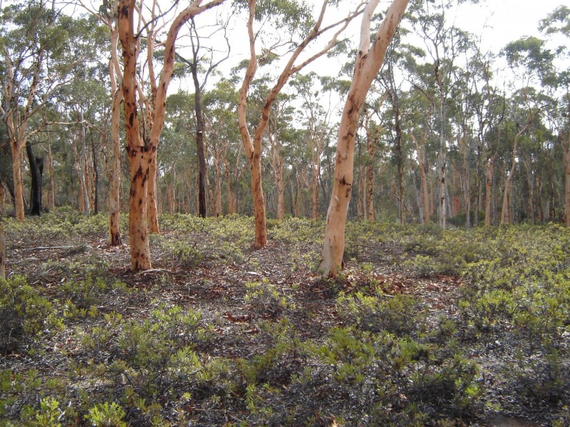 Lot 7082 Helena Road, St Ronans WA 6302