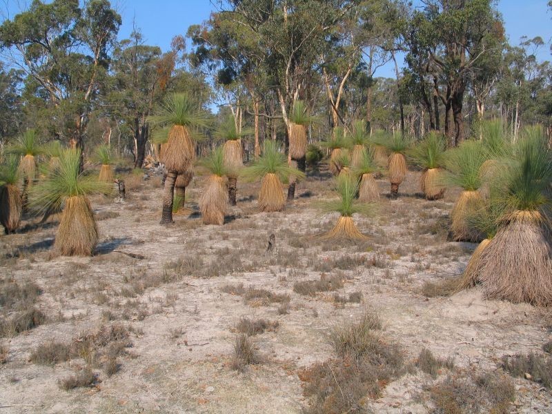 Lot 7082 Helena Road, St Ronans WA 6302