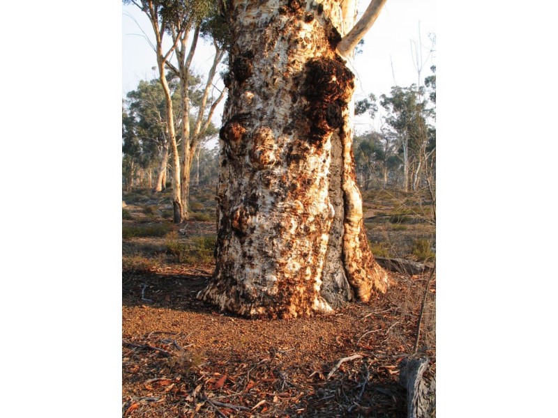 Lot 7082 Helena Road, St Ronans WA 6302