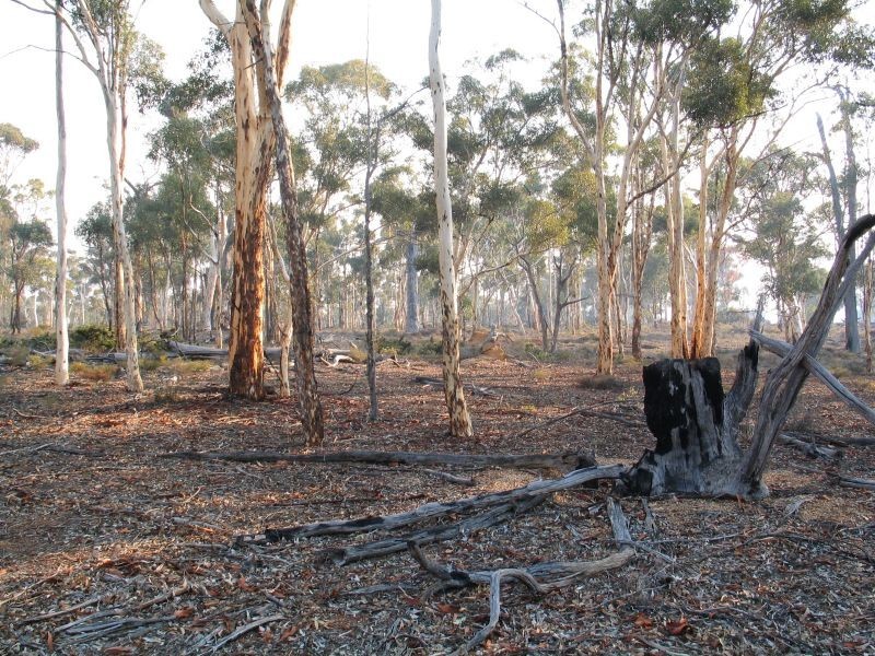 Lot 7082 Helena Road, St Ronans WA 6302