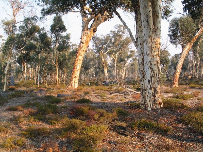 Lot 7082 Helena Road, St Ronans WA 6302