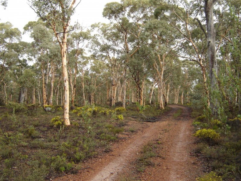 Lot 7082 Helena Road, St Ronans WA 6302