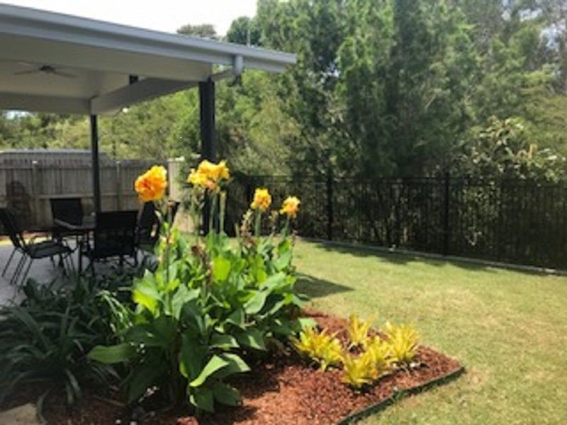 55 Foxtail Circuit, Mountain Creek QLD 4557