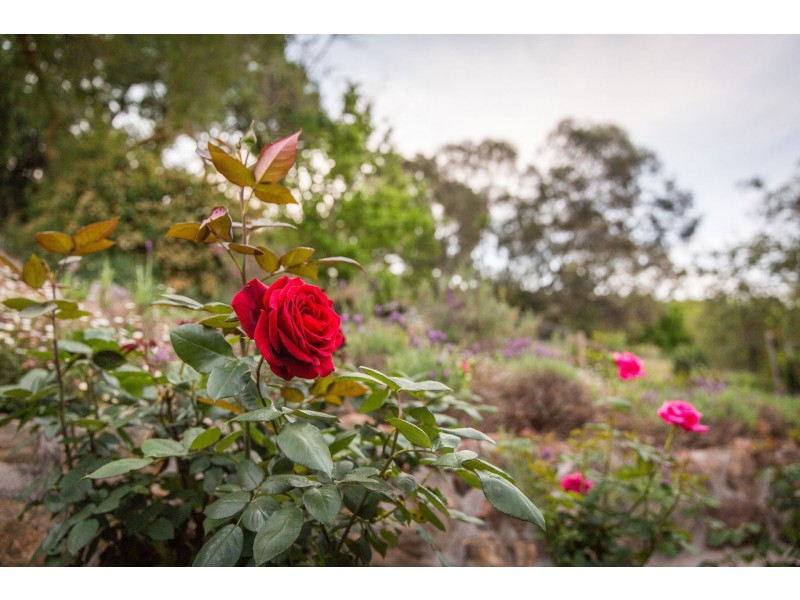 2 Paton Street, Bethanga VIC 3691