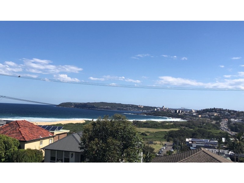 50 Austin Avenue, North Curl Curl NSW 2099