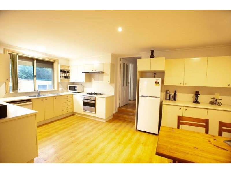 50 Austin Avenue, North Curl Curl NSW 2099