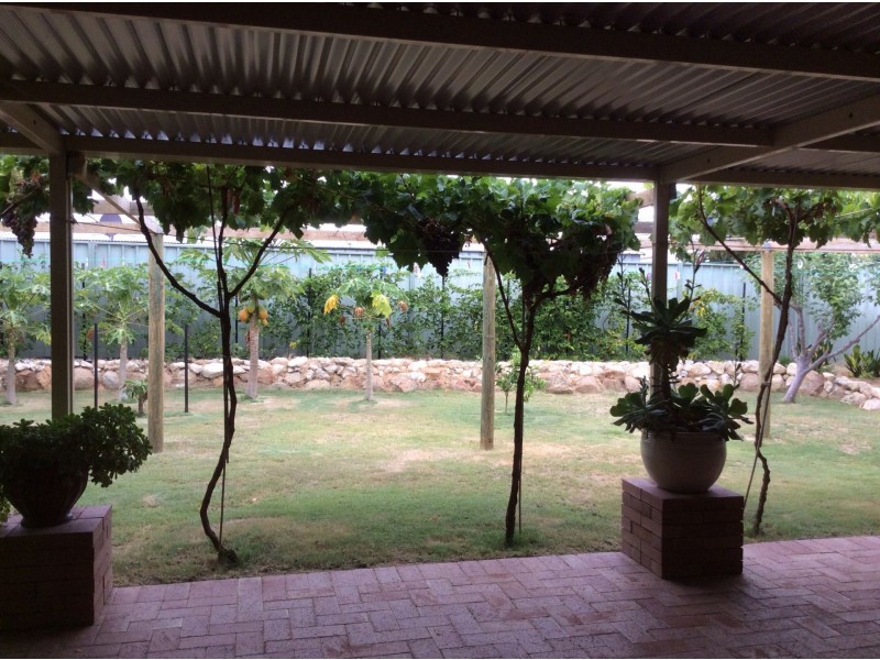 5 Hemmings Close, Clarkson WA 6030