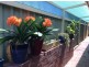 5 Hemmings Close, Clarkson WA 6030