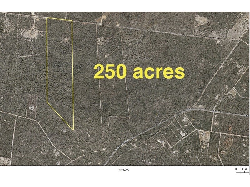 373 Pine ridge rd, Condamine Farms QLD 4357