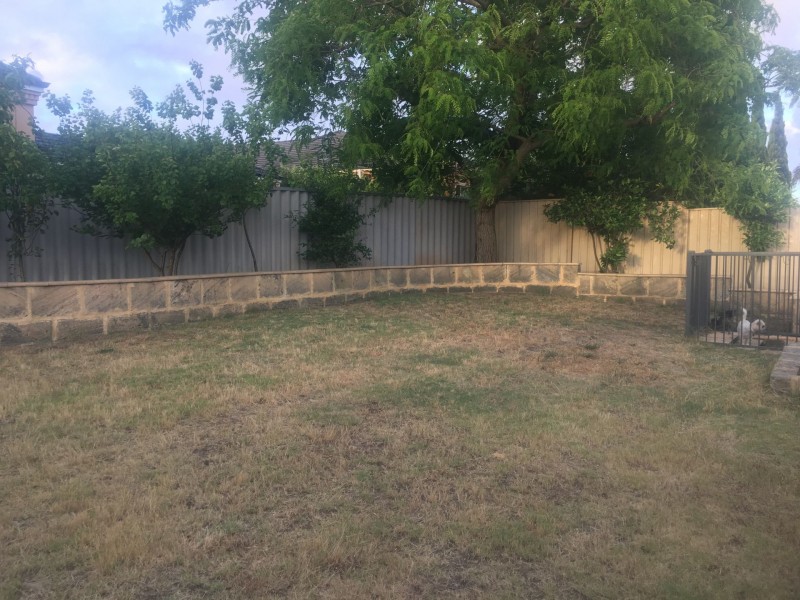 91 Glen Iris Drive, Jandakot WA 6164