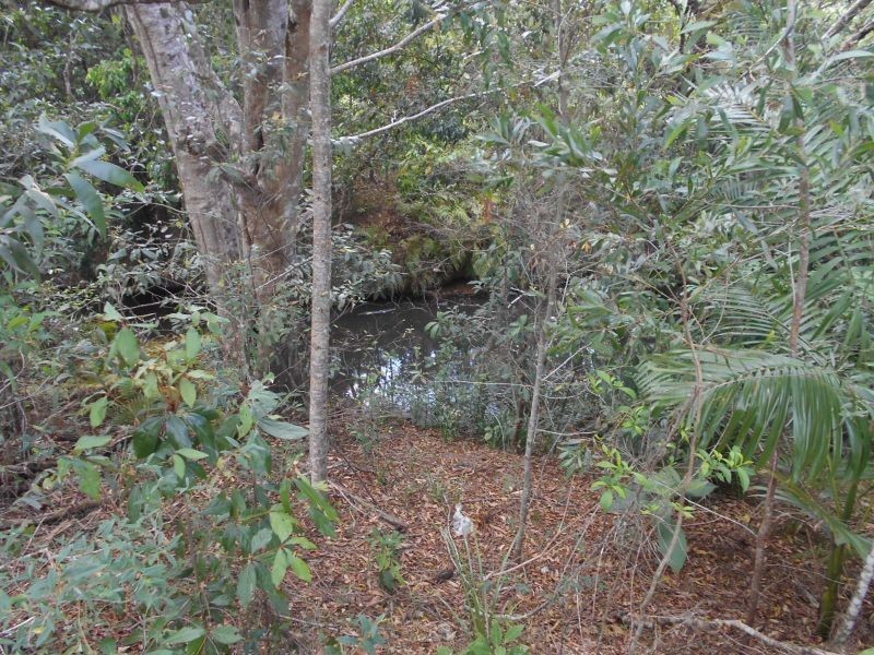 1 Wilkinson Court, Cooroy QLD 4563