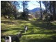 1132 White Swamp Road, Old Koreelah NSW 2476