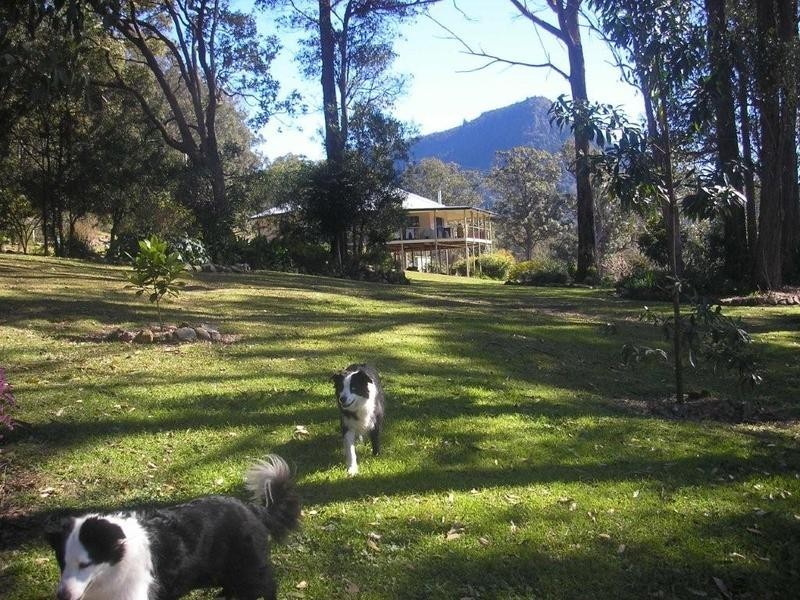 1132 White Swamp Road, Old Koreelah NSW 2476