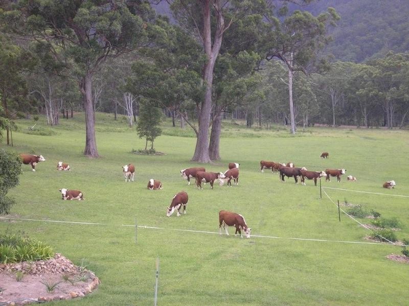 1132 White Swamp Road, Old Koreelah NSW 2476