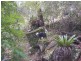 1132 White Swamp Road, Old Koreelah NSW 2476