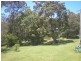1132 White Swamp Road, Old Koreelah NSW 2476