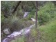 1132 White Swamp Road, Old Koreelah NSW 2476