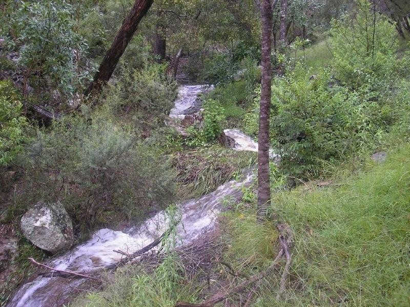 1132 White Swamp Road, Old Koreelah NSW 2476