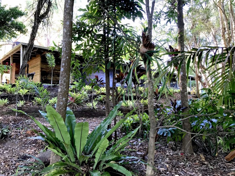 212 Bald Knob Rd, Peachester QLD 4519