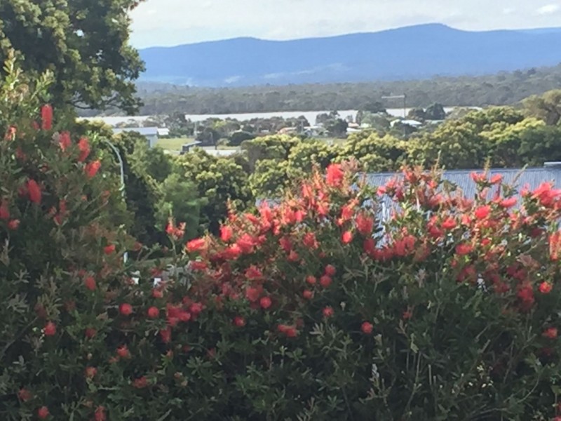 46 Hazards View Drive, Coles Bay TAS 7215