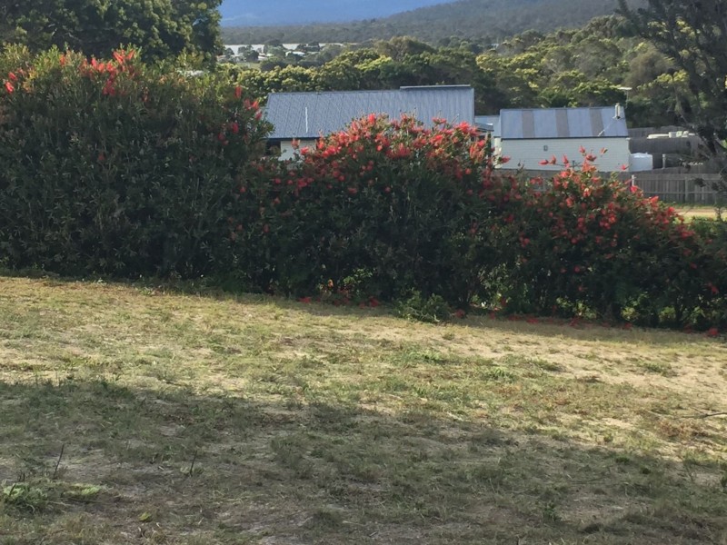 46 Hazards View Drive, Coles Bay TAS 7215