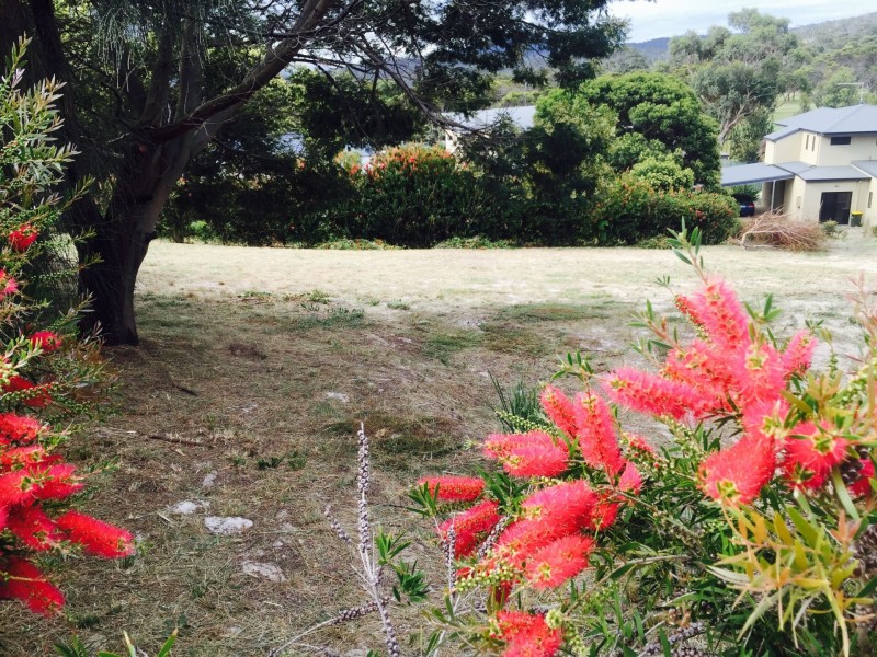 46 Hazards View Drive, Coles Bay TAS 7215