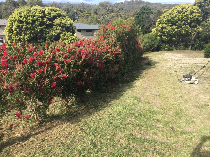 46 Hazards View Drive, Coles Bay TAS 7215