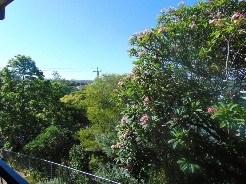 4/77 Cole St, Alderley QLD 4051