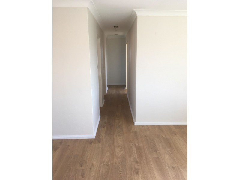 5/21 Blenheim St, Randwick NSW 2031