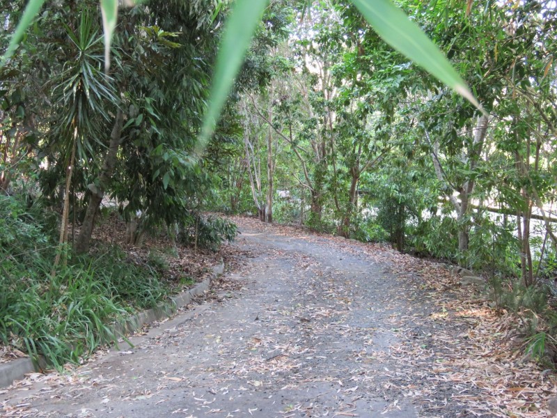 9 Waterfall Drive, Wongawallan QLD 4210