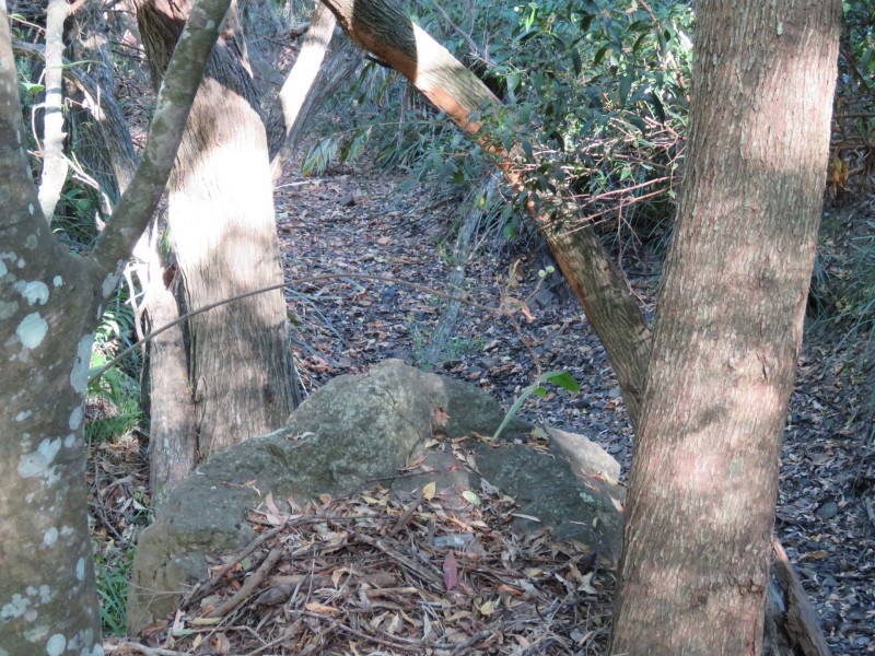 9 Waterfall Drive, Wongawallan QLD 4210