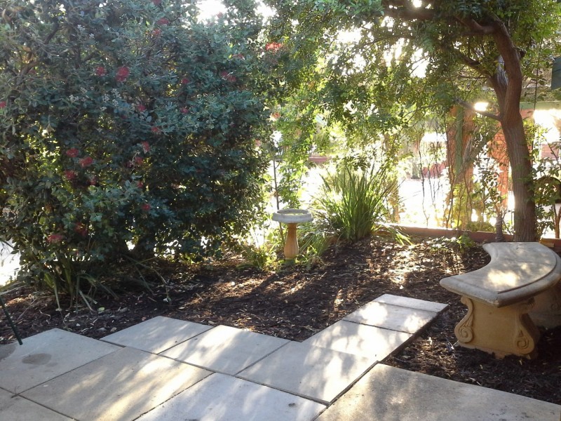 3/78 Waterloo St, Joondanna WA 6060