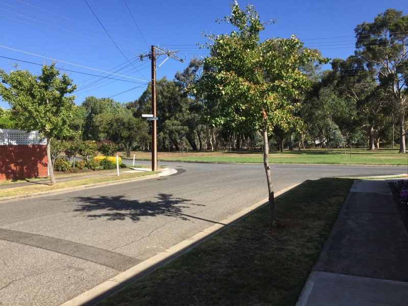 14 Catherine Avenue, Flinders Park SA 5025