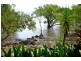 53  ATTUNGA ST NTH, Macleay Island QLD 4184