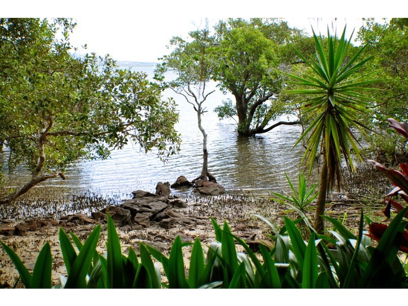 53  ATTUNGA ST NTH, Macleay Island QLD 4184