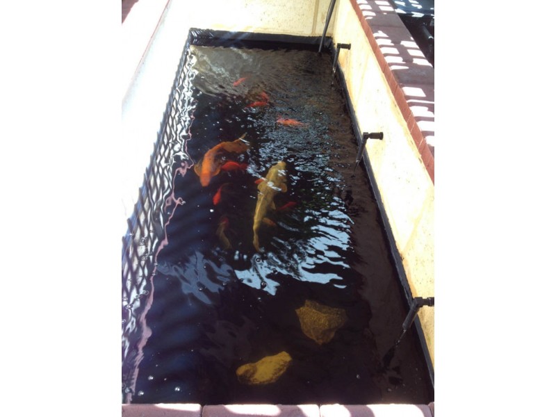 10 Leschenaultia Drive, Chittering WA 6084