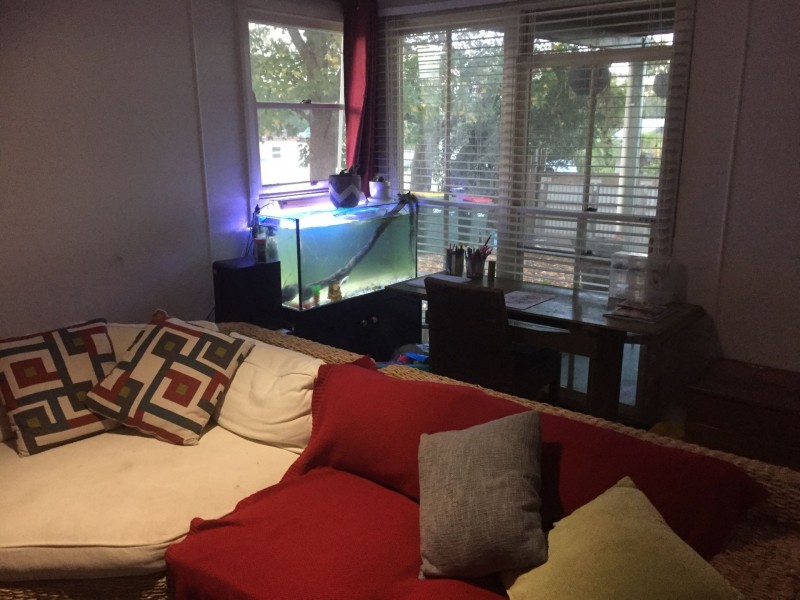 52 Bungay Road, Wingham NSW 2429