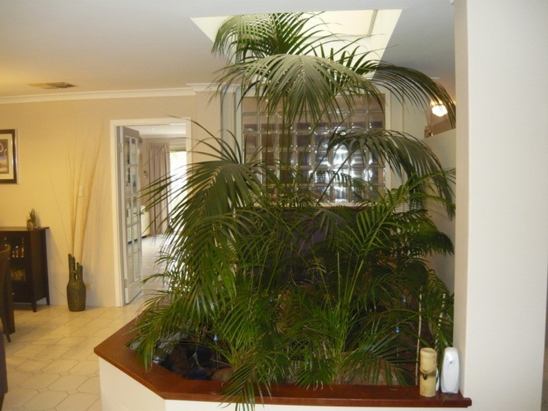 10 Shadyglen Mews, Edgewater WA 6027