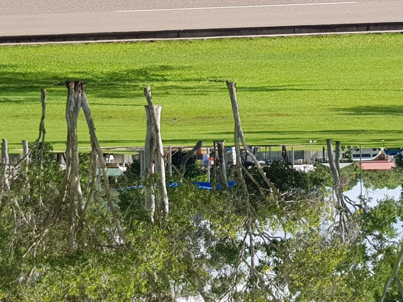 49 Rosewood Ave, Kelso QLD 4815