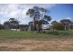 lot 17 and 73 Railway Terrace, Cungena SA 5660