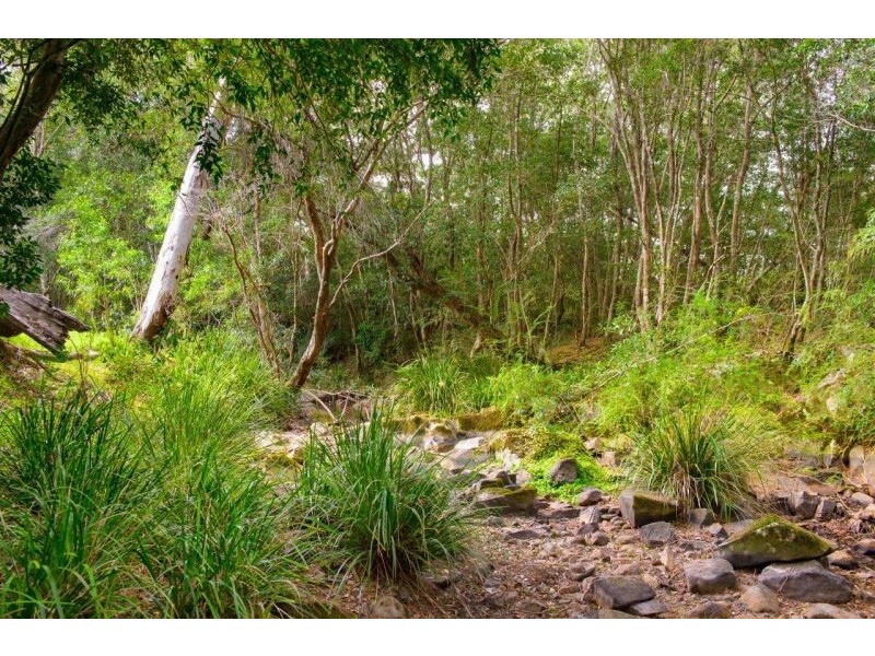 929 Comboyne Road, Byabarra NSW 2446