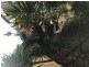 Tallebudgera QLD 4228