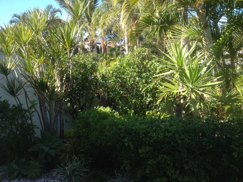 2/11 Woorookool Place, Noosaville QLD 4566