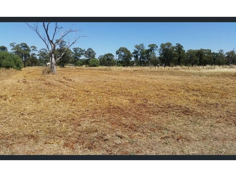 23 Bogan Street, Bogan Gate NSW 2876